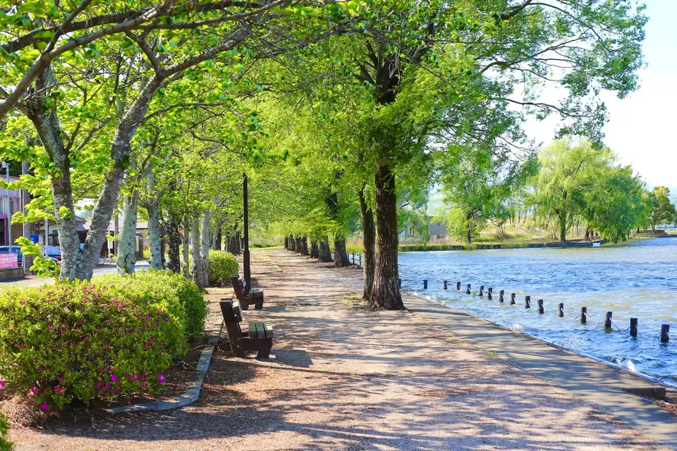 A tree-lined lakeside path in a Tomball, Texas park